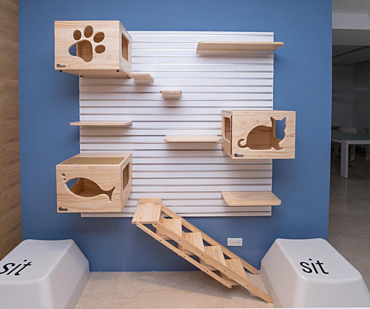 猫咖装修风格如何选择？