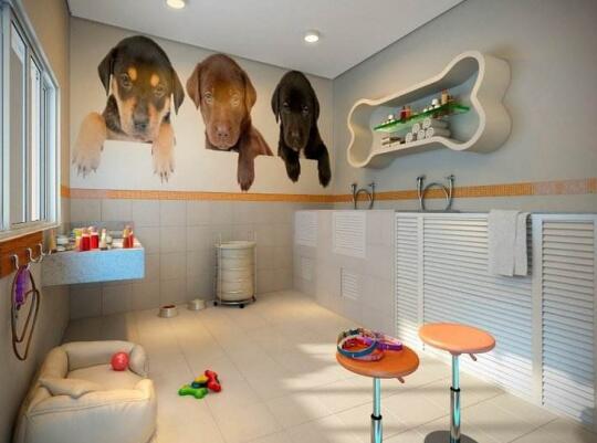 宠物店怎么设计？宠物店设计3大原则